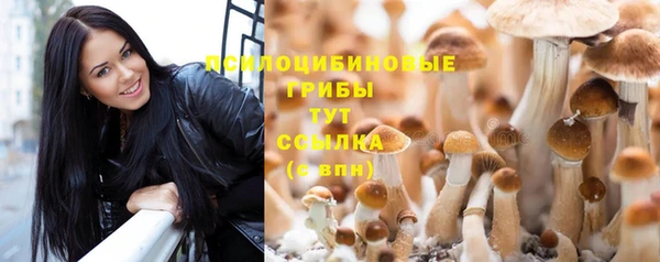 мефедрон Гусев