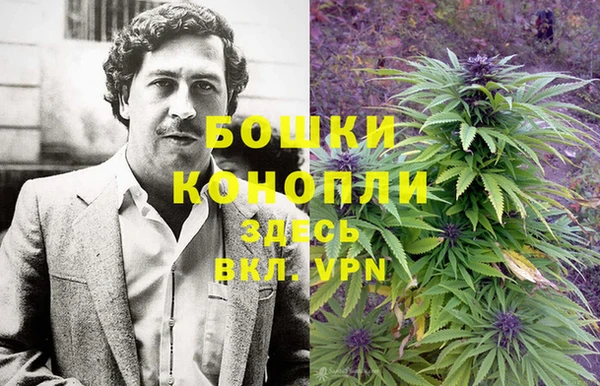 мяу мяу кристалл Гусь-Хрустальный