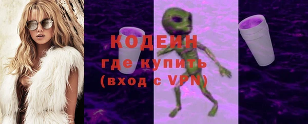 мяу мяу кристалл Гусь-Хрустальный